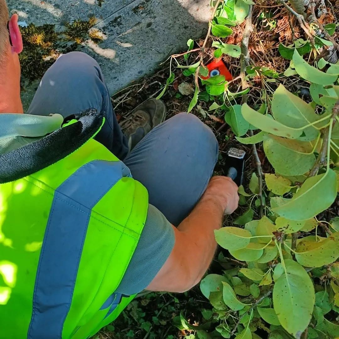 Recherche et matérialisation d’une limite de propriété par RTGEO
